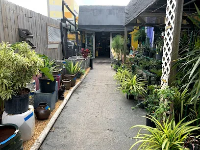 Logo of Shell Lumber and Hardware