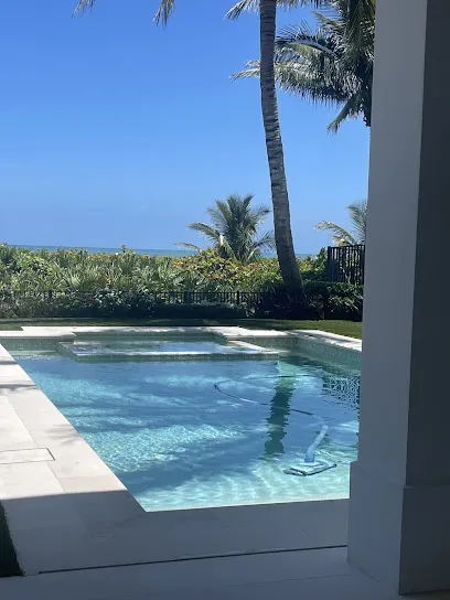 Logo of Skinny-Dip Pools