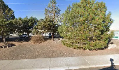 Logo of Specialized Pool Services