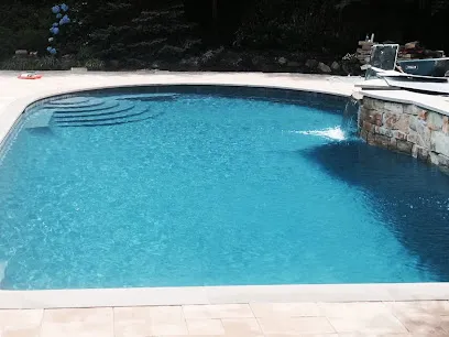 Logo of Spectacular Pools