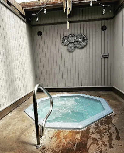 Logo of Springfield Spas