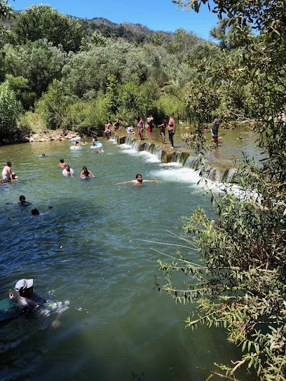 Logo of Tampa Hardware