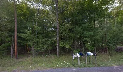 Logo of The Pool Chemist