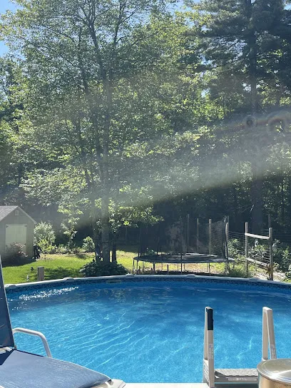 Logo of The Pool Pirate