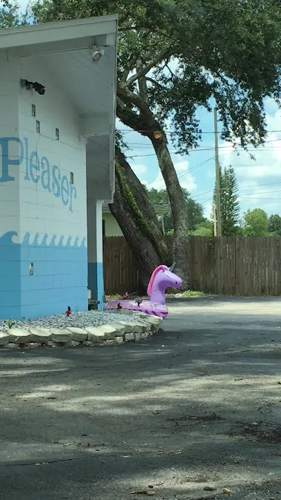 Logo of The Pool Pleaser