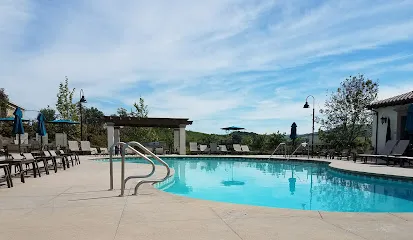 Logo of The South Plunge