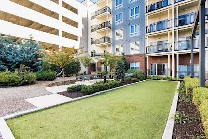 Logo of The Southerly