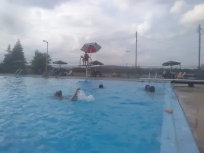 Logo of Vestal Memorial Pool