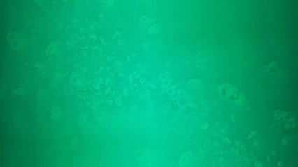 Logo of Vienna Hot Tubs