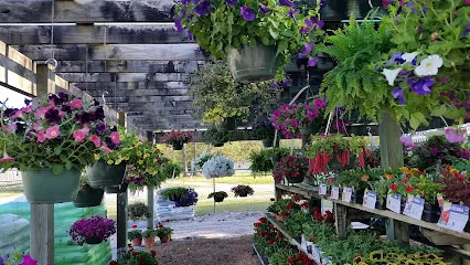 Logo of Village Ace Hardware