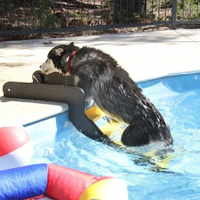 Logo of WaterDog Adventure Gear